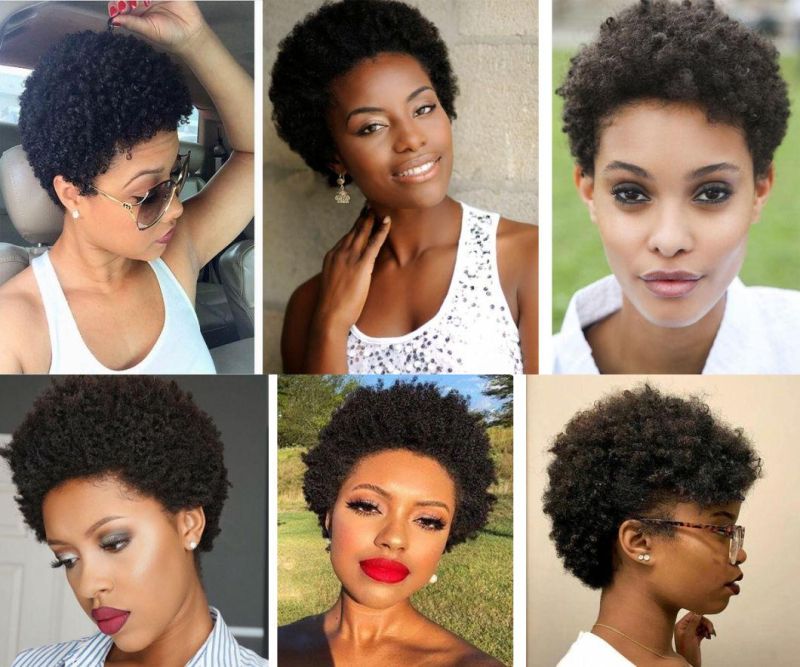Short Curly Human Hair Wigs Brazilian Virgin Afro Kinky Curly Wig