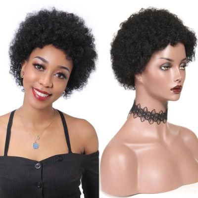 Short Curly Human Hair Wigs Brazilian Virgin Afro Kinky Curly Wig