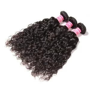Brazilian Virgin Hair Water Wavy Human Hair Weave
