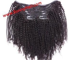 Kinky Curly Brazilian Human Hair Clip in Hair Extension