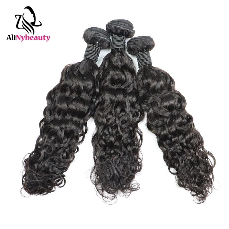 Alinybeauty Wholesale Virgin Hair Bundle Water Wave Cuticle Aligned Raw Virgin Hair Raw Indian Hair Unprocessed