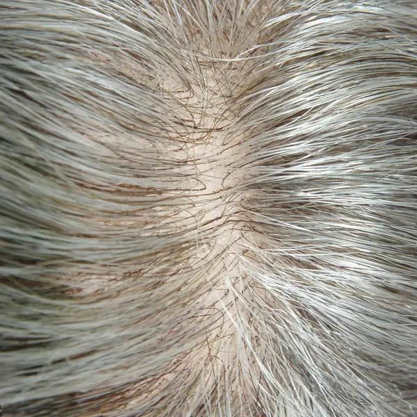 Ljc473 Indian Human Hair with Grey Hair in Synthetic Hair Systems