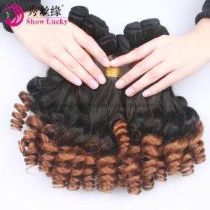 Best Factory Price for Virgin Remy Human Hair Weft Malaysian Ombre Hair Extension Aunty Fumi Hair Bundles