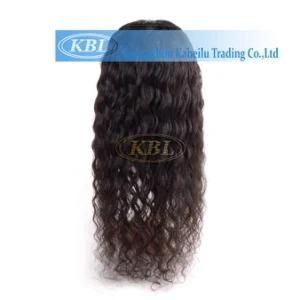 Human Hair Lace Front Wig