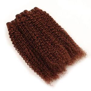 Light Brown Kinky Curly Hair 3 Bundles Human Hair Weave Extensions Color