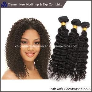 Top Quality Unprocessed 100% Human Hair Extension Brazilian Virgin Human Hair