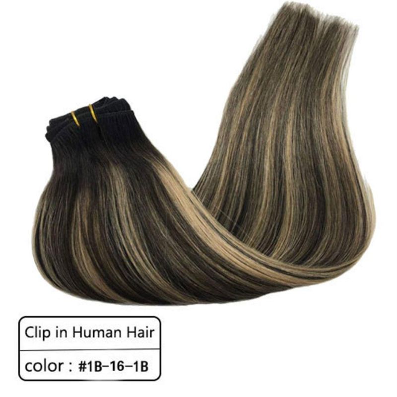 Clip in Brazilian Human Hair Extensions Full Head Remy Human Hair Straight Hair Extensions Multi Color 20 Inches
