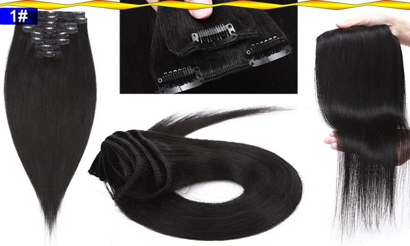 8PCS Clip in Human Hair Extensions 100% Real Machine Straight