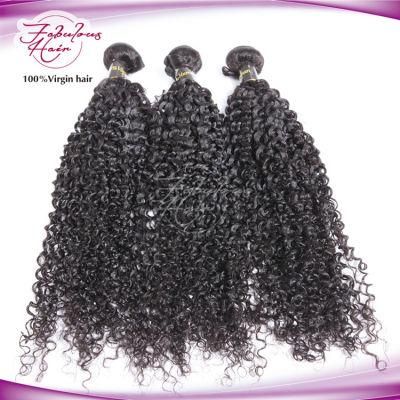 Golden Hair Supplier Indian Human Virgin Kinky Curly Natural Hair