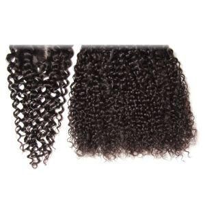 Brizilian Virgin Remy Hair Curl Human Hair Weaves for Black Women