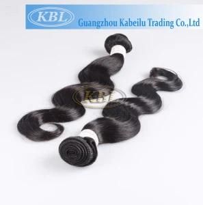 Body Wave Hair, Malaysian Human Hair Weft