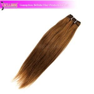 Wholesale Top Quality Color #6 European Virgin Human Hair