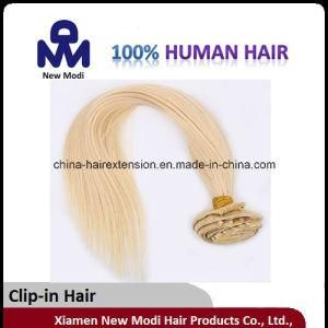 Clip in Hair Human Hair Extension