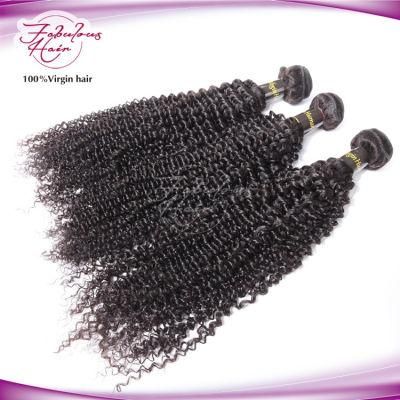 Virgin Cuticle Aligned Human Hair Extension Kinky Curly Bundles