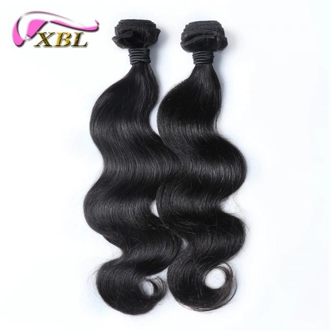 Guangzhou Xbl Hot Sale Grade 9A Indian Remy Hair
