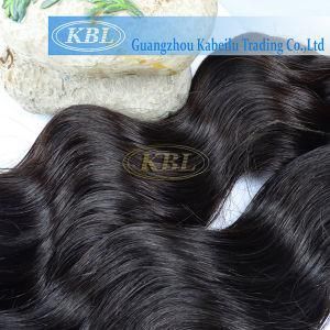 Human Hair Bundle Malaysian Human Hair