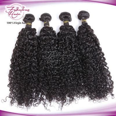 Wholesale Price Cuticle Aligned Hair Extensions Curly Hair Weave