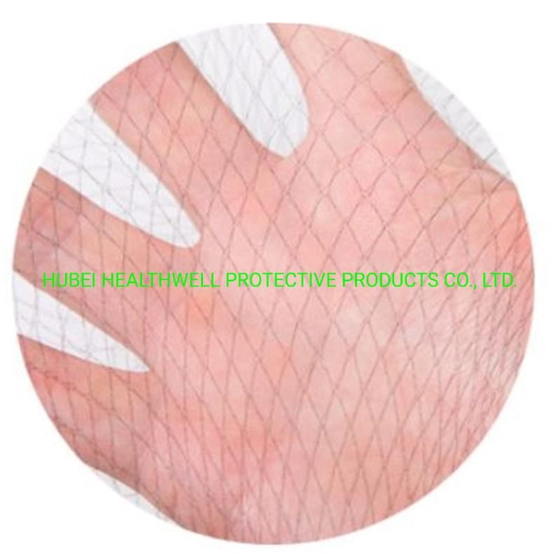 Food Processing Disposable Invisible Hair Cap Hairnets Mesh Nylon Hairnets