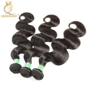 Raw Unprocessed Brazilian Double Drawn Virgin Vendors Human Hair Weave