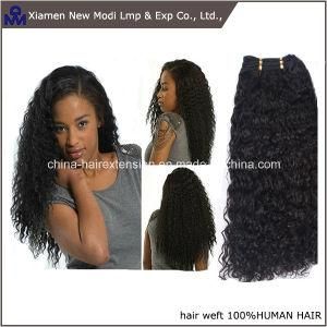 Natural Color Barzilian Curly Human Hair Weave