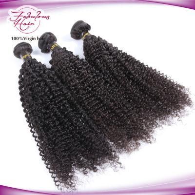 Kinky Curly Virgin Human Hair Unprocessed Hair Weft Remy Hair