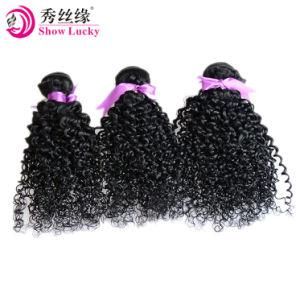 Doulbe Long Weft Kanekalon Hair Bundles for Women Heat Resistant Fiber Hair Machine Made Synthetic Hair Kinky Curly Weave