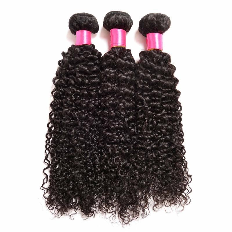 Kinky Curly Human Hair Weft Brazilian Hair Bundles with Closure and Frontal