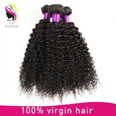 8A Brazilian Human Hair Weave Kinky Curly Hair Extensions