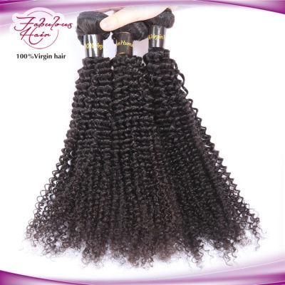 100% Virgin Human Hair Curly Human Hair Bundles