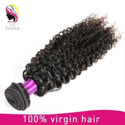 Factory Price Cuticle Aligned 8A Kinky Curl Brazilian Hair Extension