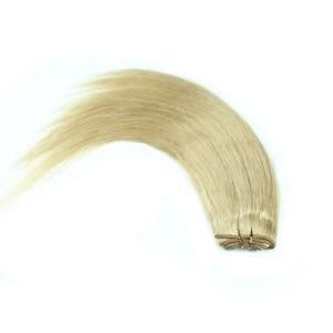 Blonde Human Unice Grade 9A Virgin Peruvian Hair Bundles