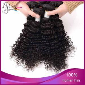 7A Brazilian Kinky Curly Cheap Vigin Remy Human Hair Weft