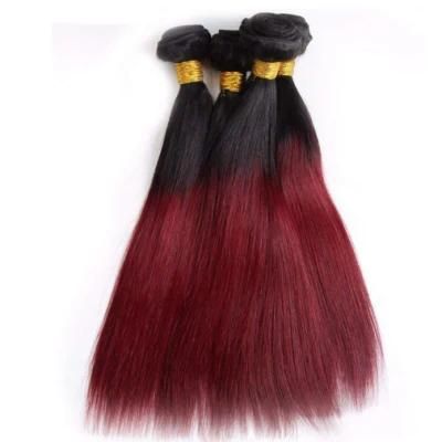 Kbeth Real Low Price Human Hair Weave, 99j Two Tone Luxury Sexy Vietnamese Hair Bundles From Xuchang Original Factory with No Middle Man