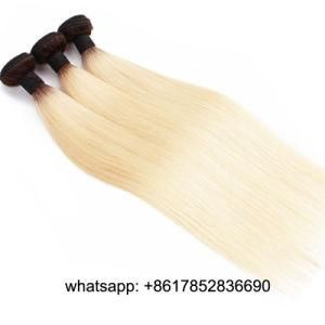 9A Wholesale Price Ombre Blonde 1b/#613 Virgin Brazilian Human Hair Virgin Hair Weft