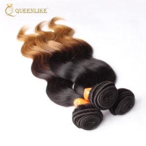Remy 100 Human Natural Cuticle Aligned Virgin Hair Extensions