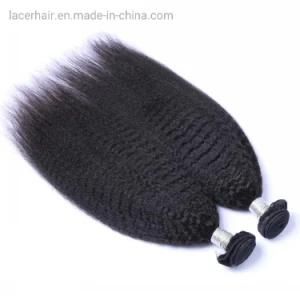 Fast Shipping Wholesale Hair Bundles Brazilian Virgin Kinky Straight Hair Weft