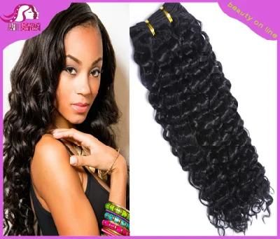 100% Remy Human Hair, Kindly Curly Virgin Hair (BHF017)