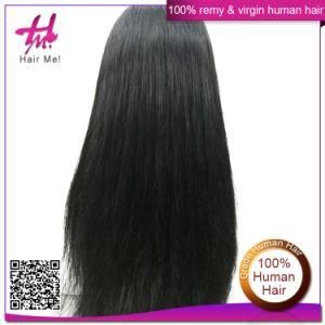 Brazilian Virgin Hair Remy Wig 100% Density Human Wig Straight Frontal Lace Wig