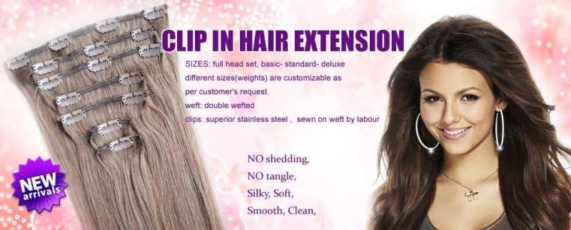 Brazilian Human Hair Clips Hair Extension