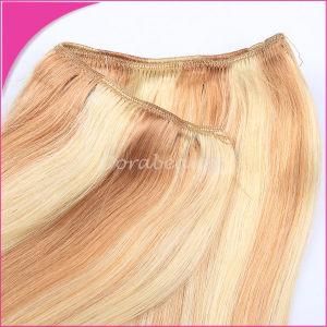 Brazilian Remy Hair Piano Color Hair Weft