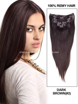 Funky Colors Hair Salon Clip Hair Extension (HT-06)