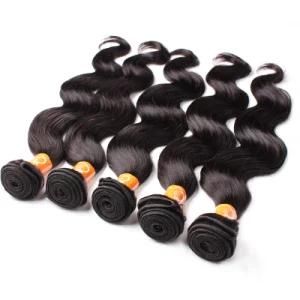 Unprocessed Virgin 100% Human Malaysian Hair Extensions