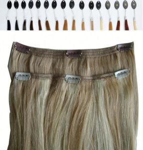 Remy Straight Hair Clip in Hair Extensions for African American