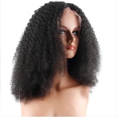 Riisca Hair Kinky Curly Wig Pre Plucked Lace Frontal Human Hair Wigs for Black Women Remy Hair Wig