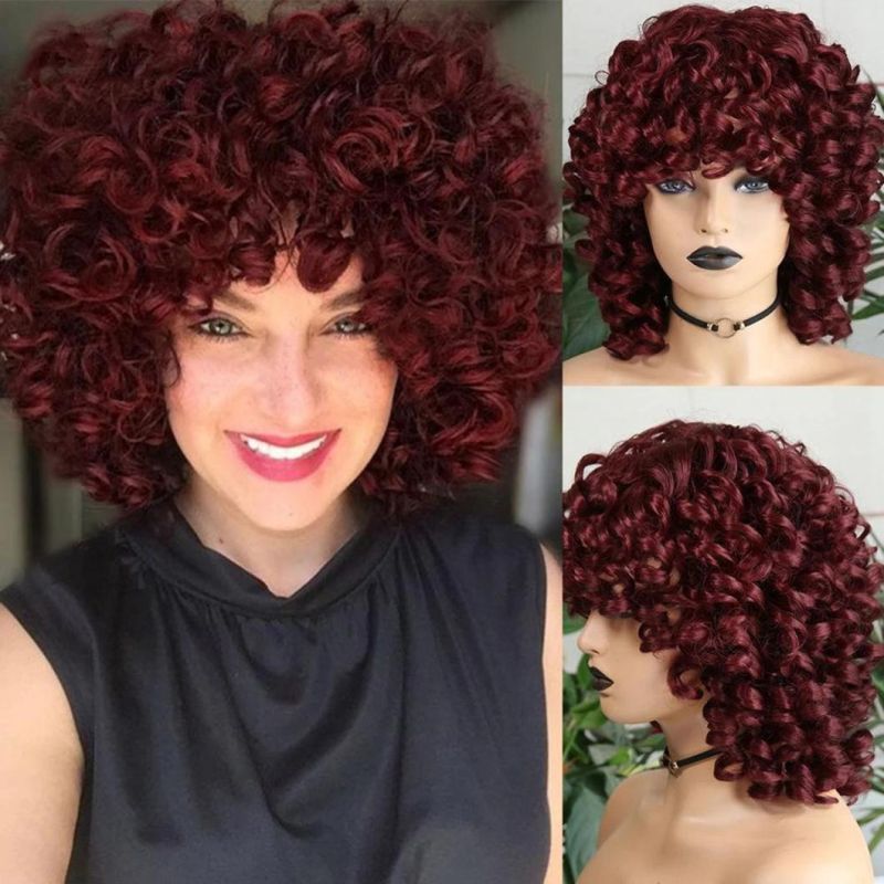 Brazilian Human Hair Short Hair Afro Curly Wig with Bangs Loose Fluffy Shoulder Length Natural Lace Front Wigs for Black Women 14 Inches