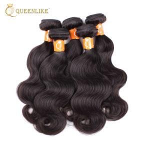 Mink Brazilian Vendors Raw Virgin Color Hair Extensions