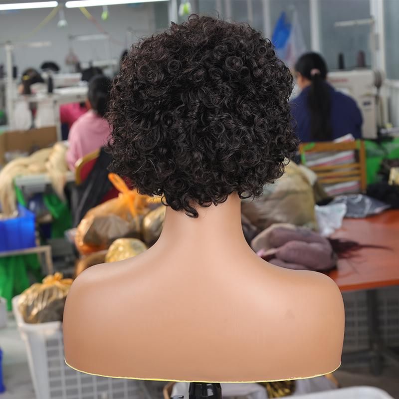 Short Pixie Cut Bob HD Lace Frontal Human Hair Wigs for Black Women Cuticle Aligned Transparent Lace Frontal Bob Human Hair Wigs