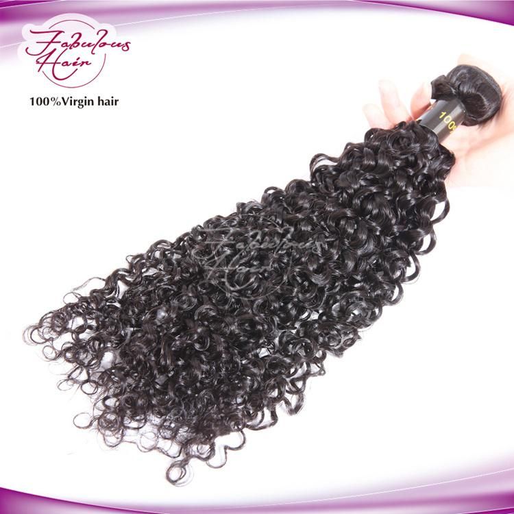 Popular Styles Curly Natural Color Raw Unprocessed Virgin Indian Hair