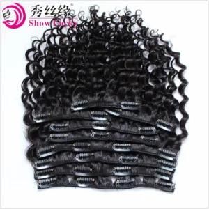 Wholesale Virgin Peruvian Hair One Donor Human Hair Extensions Clip in Deep Wave Curly Hair Weft