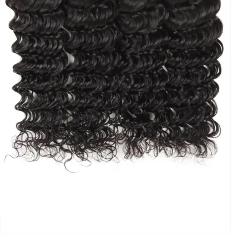 Riisca Hair Brazilian Deep Wave Bundles with Closure Human Hair Bundles with Closure Remy Hair